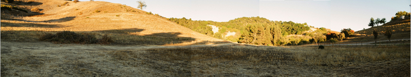 LXV-Paso-Appellations