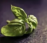 Silk Road: Vegan Pesto Sauce Recipe