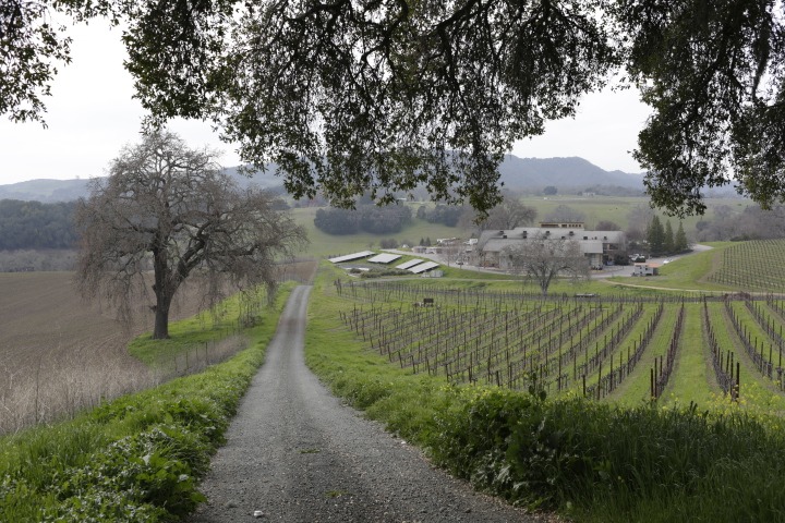 The New World meets the Old in a bottle of LXV’s 2020 Reserve Cabernet Sauvignon Denner Vineyard Paso Robles