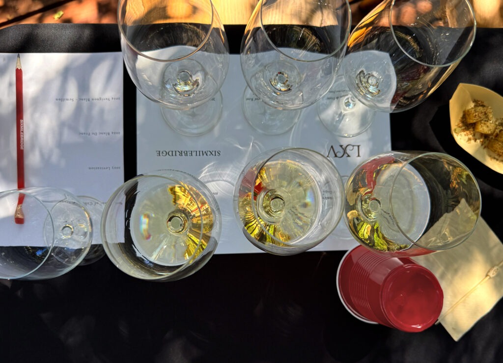 Blog Post First Trio