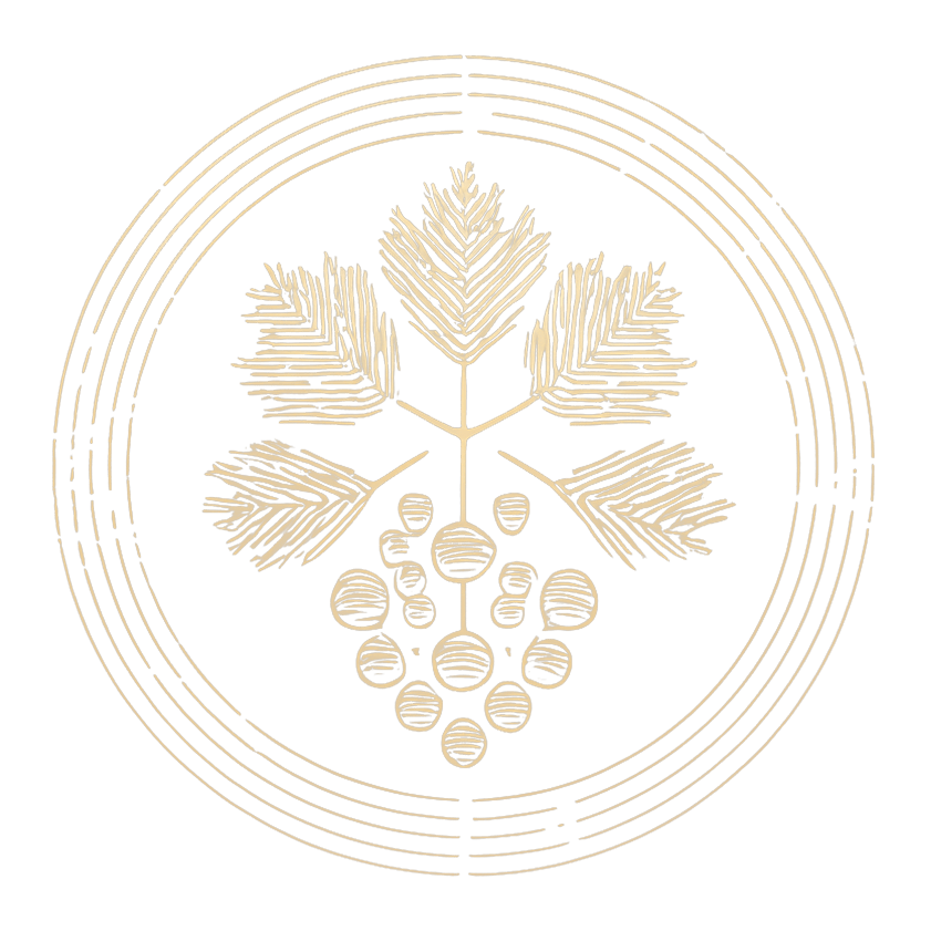 Visit LXV Wine Paso Robles