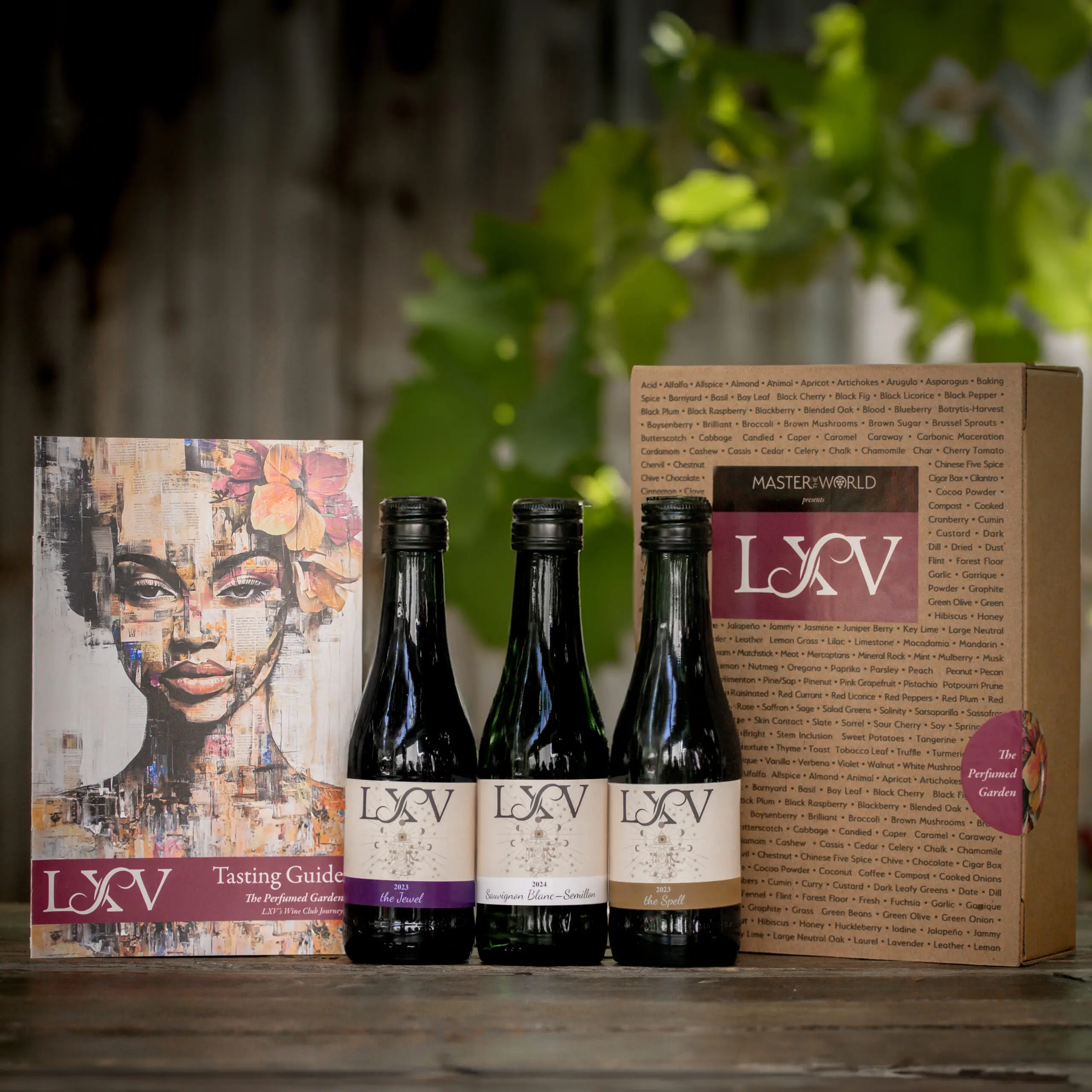 Master of Wine LXV Virtual Tasting Kit