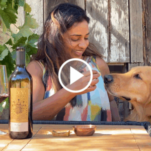 Neeta Mittal discusses 2023 LXV the Spell Syrah and Cabernet Sauvignon blend