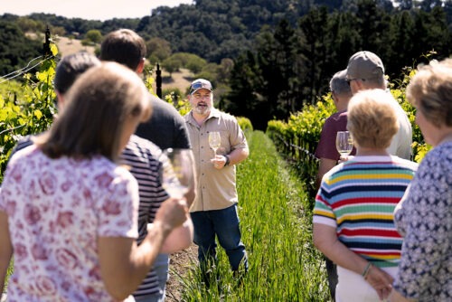 Maison Mittal Bordeaux Wine Tasting Experience