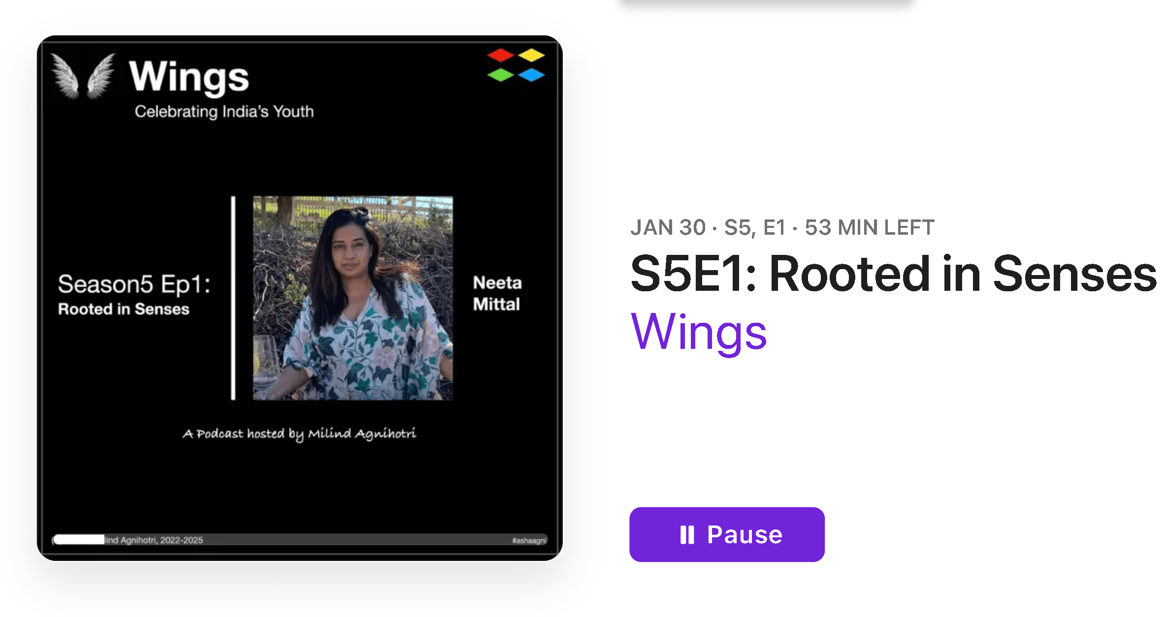 Neeta Mittal Podcast Vineyard to Spices