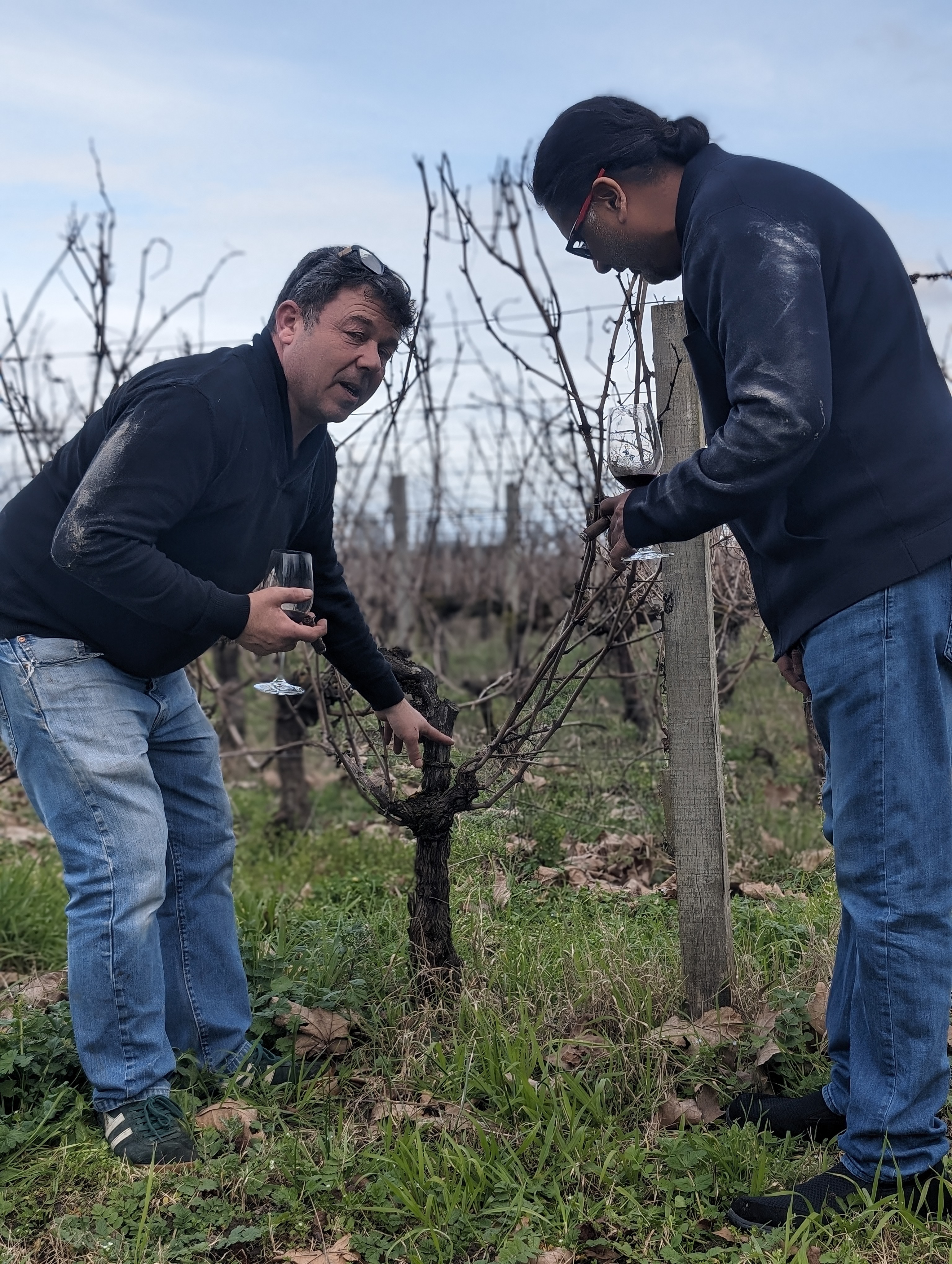 St Emilion Kunal LXV Maison Mittal Vineyard