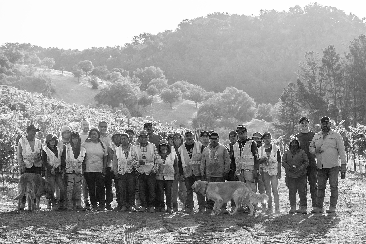 LXV Wine Thanksgiving Vineyard Team
